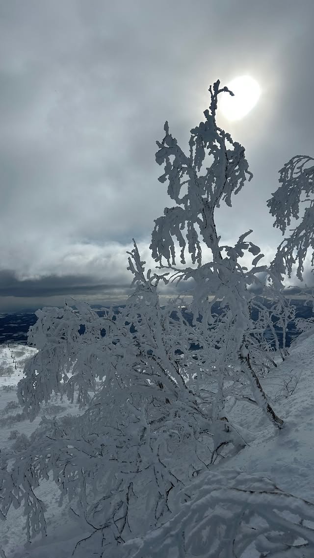 donde esquiar en enero y febrero 2026